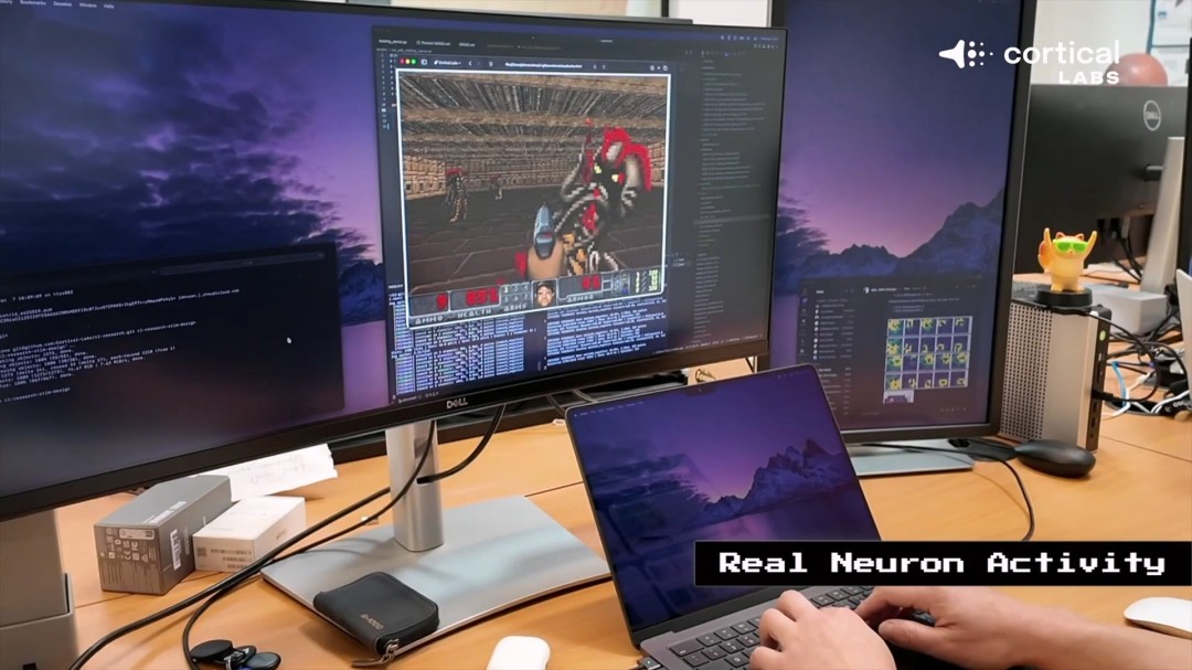 奥多贝尔星,光熠熠,麦迪逊力赞,皇冠,Crown,皇冠官网,皇冠体育官网,皇冠体育下载,皇冠APP