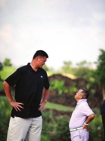 森林狼的 森林狼的